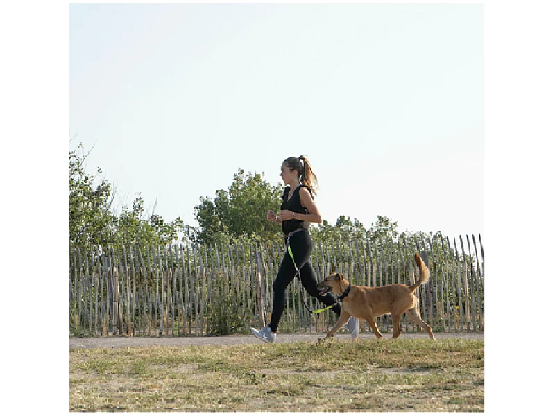 Kit Running pour Chien "Réfléchissant" 120cm Gris