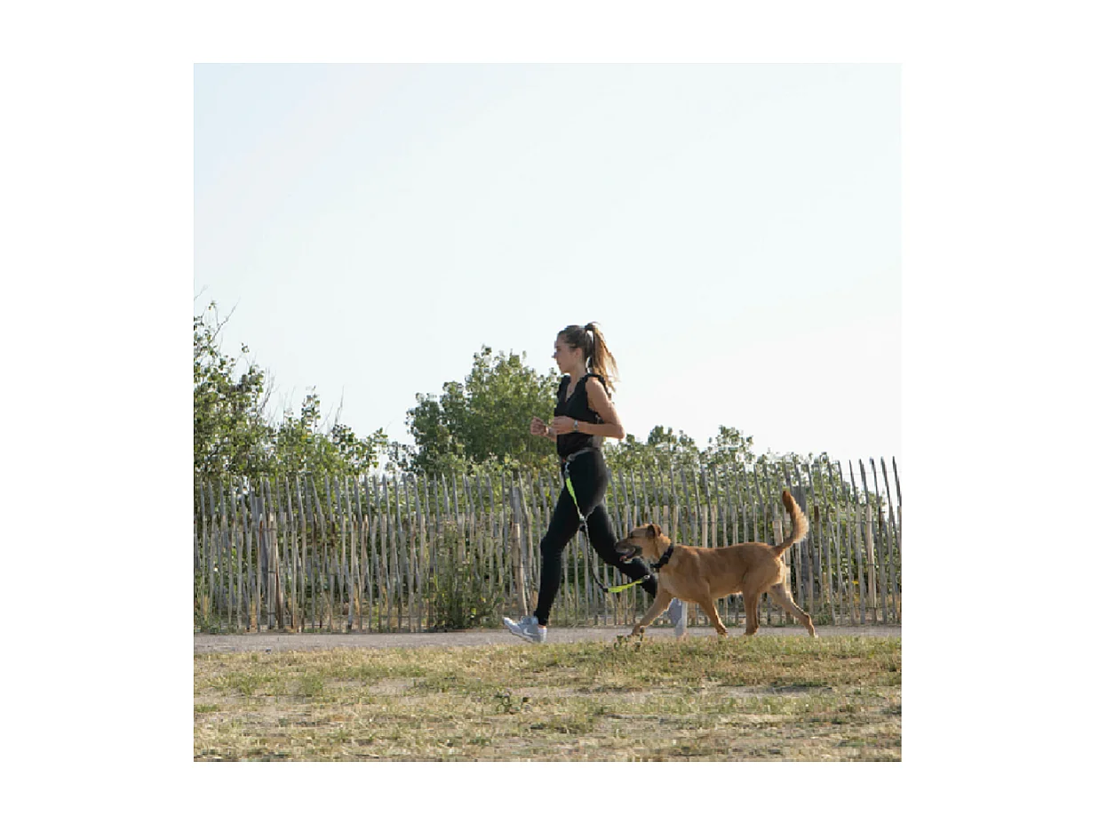 Kit Running pour Chien "Réfléchissant" 120cm Gris