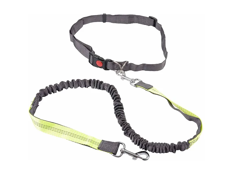 Kit Running pour Chien "Réfléchissant" 120cm Gris