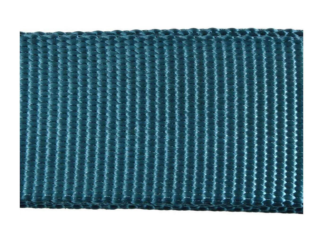 Collier Réglable pour Chien "Essentiel" 70cm Émeraude