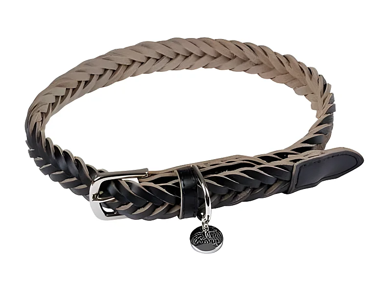 Collier pour Chien Réglable "Tressé" 50-70cm Noir