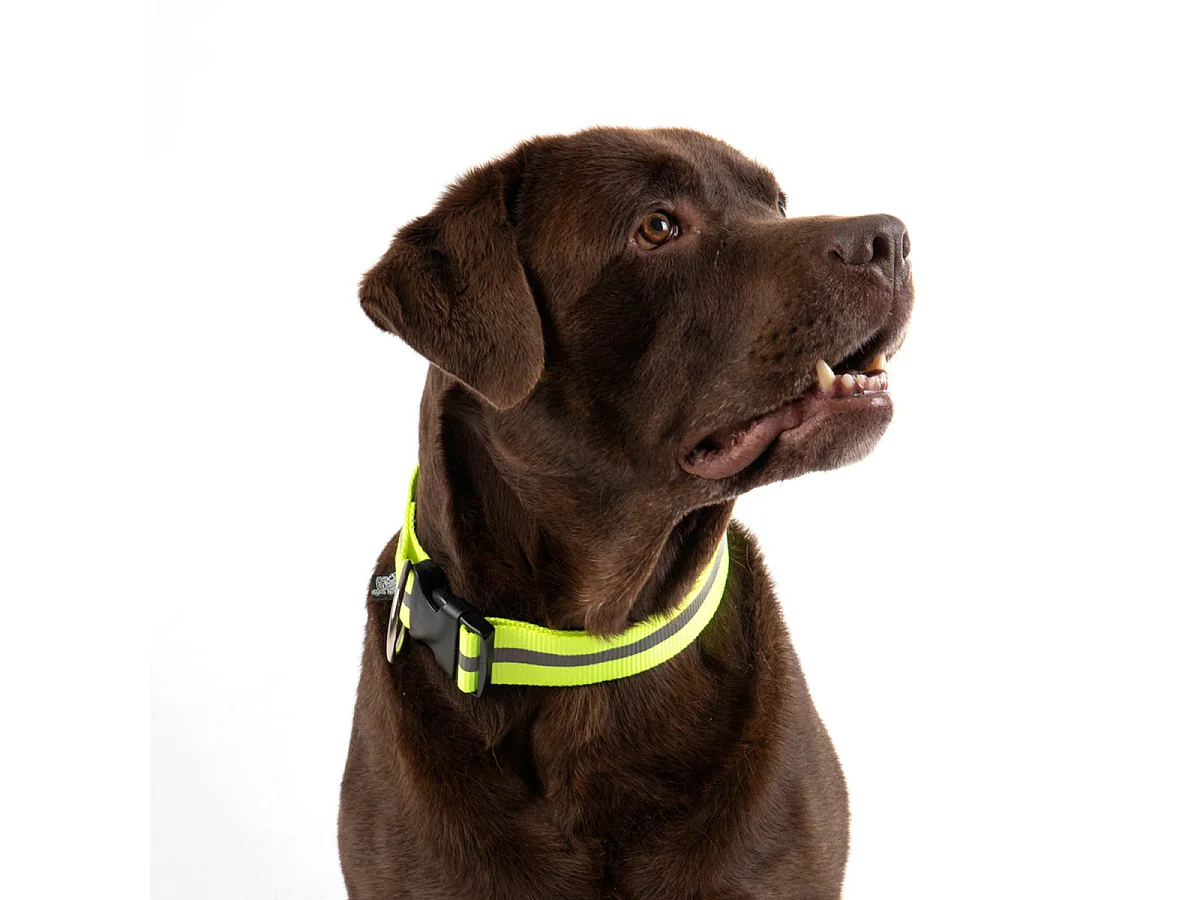 Collier Réglable Chien Réfléchissant "Essentiel" 45-65cm Jaune