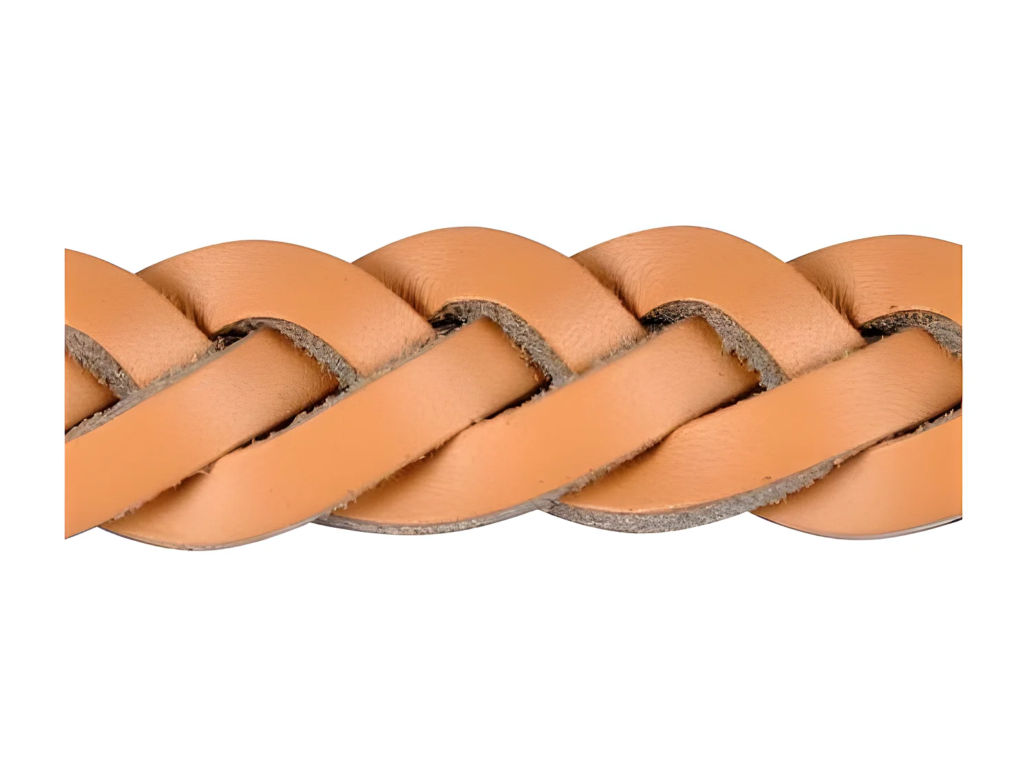 Collier pour Chien Réglable "Tressé" 50-70cm Naturel