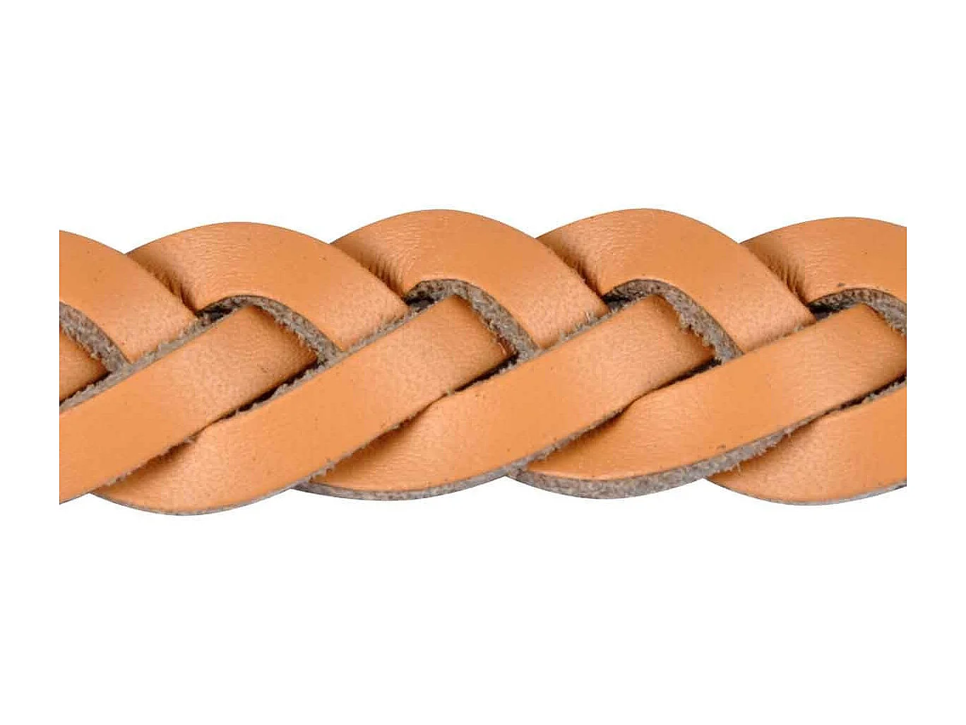 Collier pour Chien Réglable "Tressé" 50-70cm Naturel