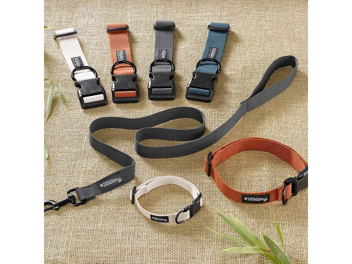 Collier pour Animaux "Réglable" 65cm Anthracite