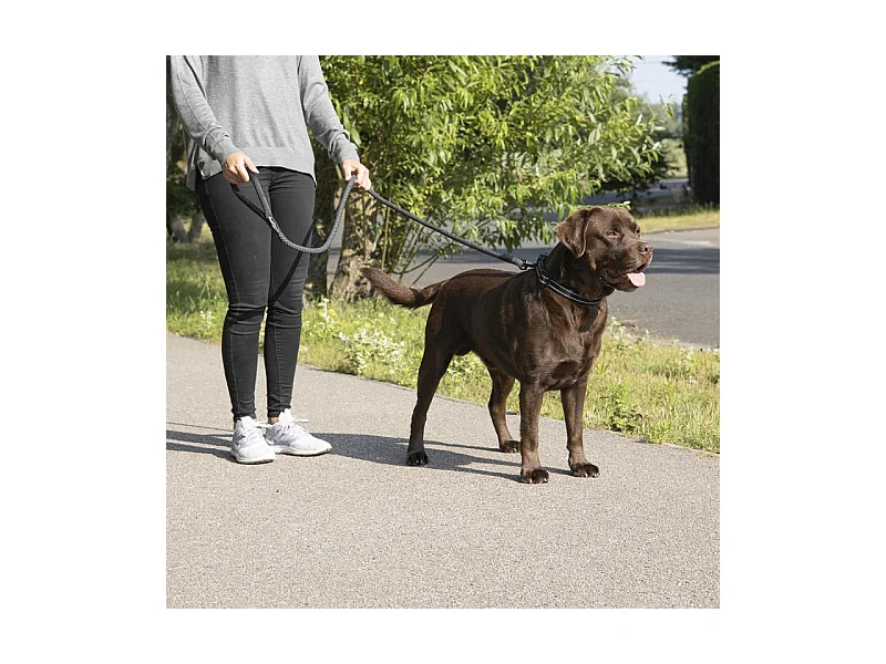 Laisse pour Chien "Corde Expert" 150cm Noir