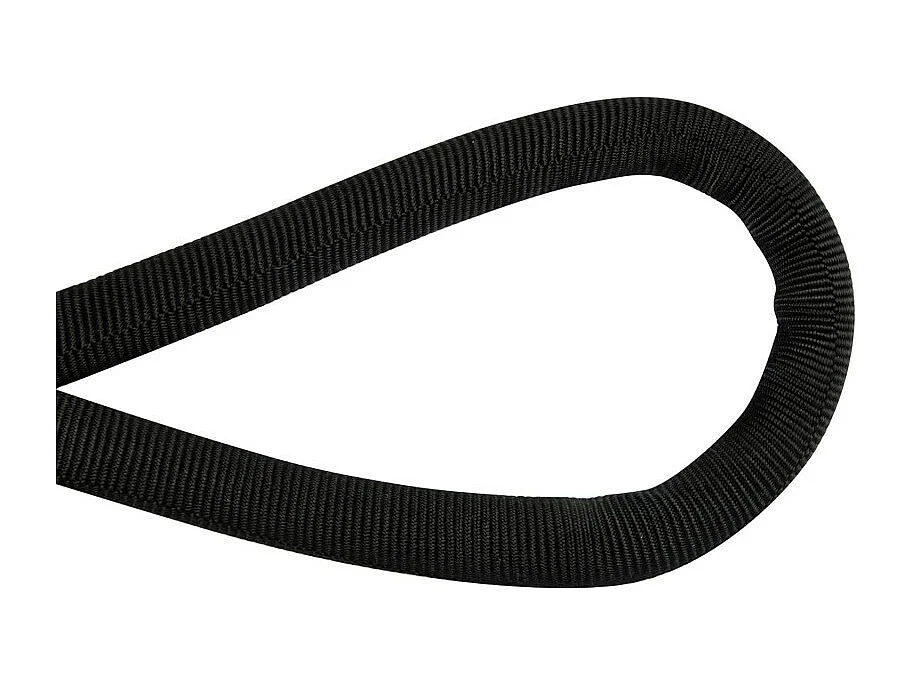Laisse pour Chien "Corde Expert" 150cm Noir