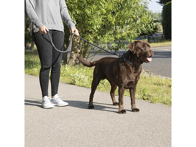 Laisse pour Chien "Corde Expert" 150cm Noir