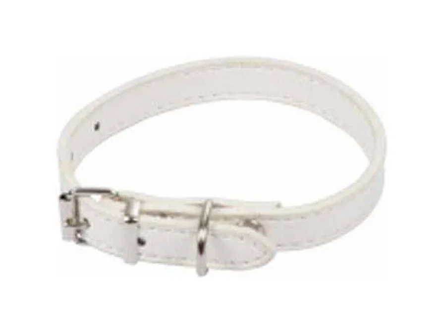 Collier pour Chien "Design Uni" 30cm Blanc
