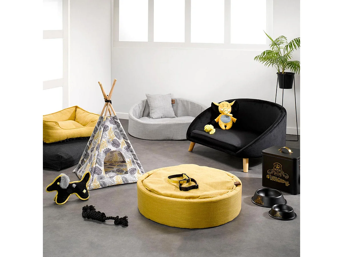 Collier pour Chien "Cosy Golden" 70cm Jaune