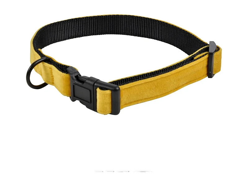 Collier pour Chien "Cosy Golden" 70cm Jaune