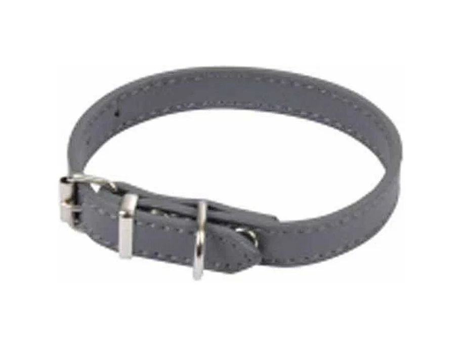 Collier pour Chien "Design Uni" 30cm Anthracite