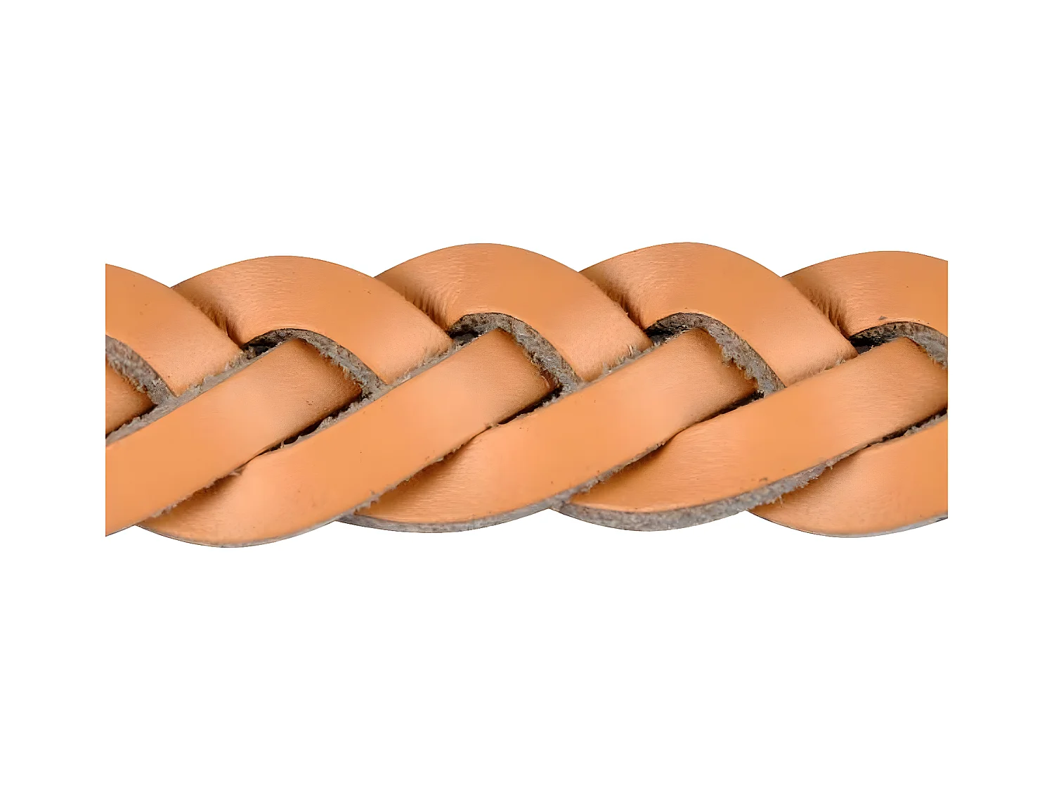 Collier pour Chien Réglable "Tressé" 30-45cm Naturel