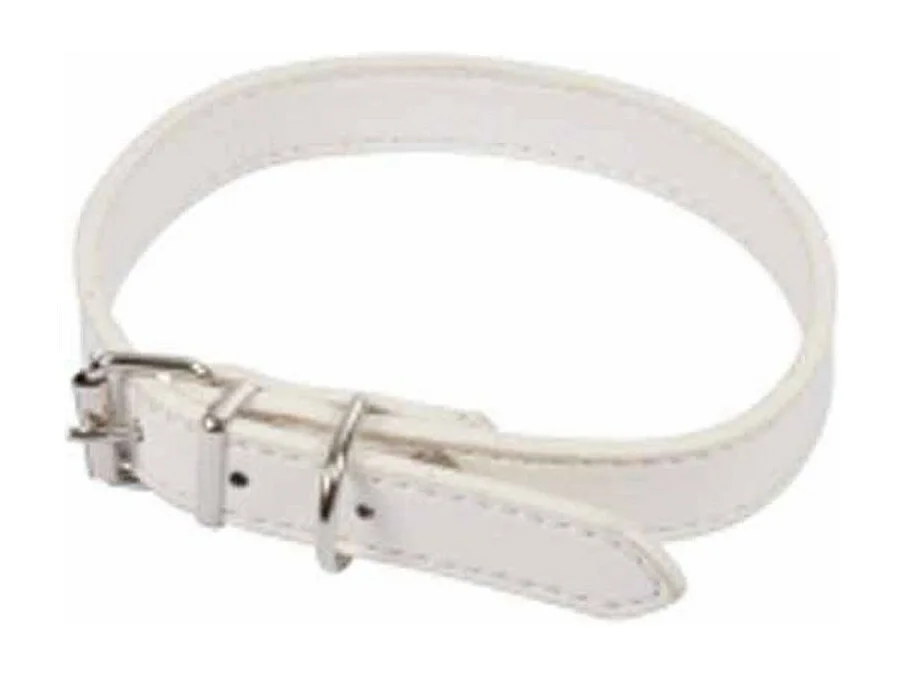 Collier pour Chien "Design Uni" 40cm Blanc