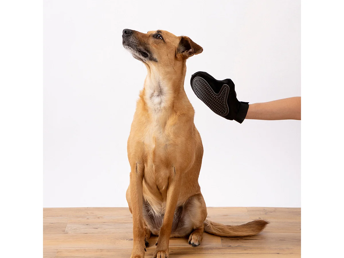 Gant de Brossage pour Chien & Chat "1 Face" 24cm Noir