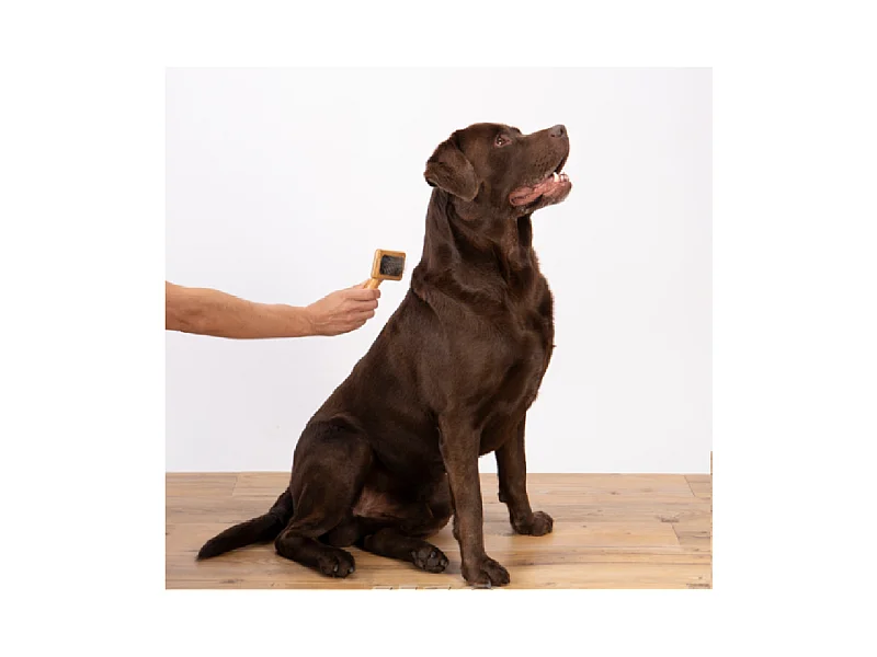 Brosse de Toilettage "Bambou" 15cm Naturel