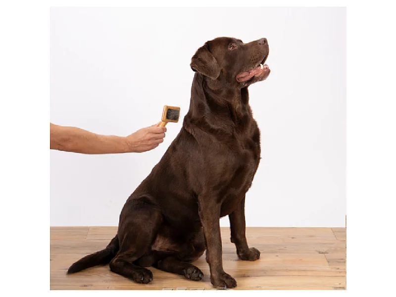 Brosse de Toilettage "Bambou" 15cm Naturel