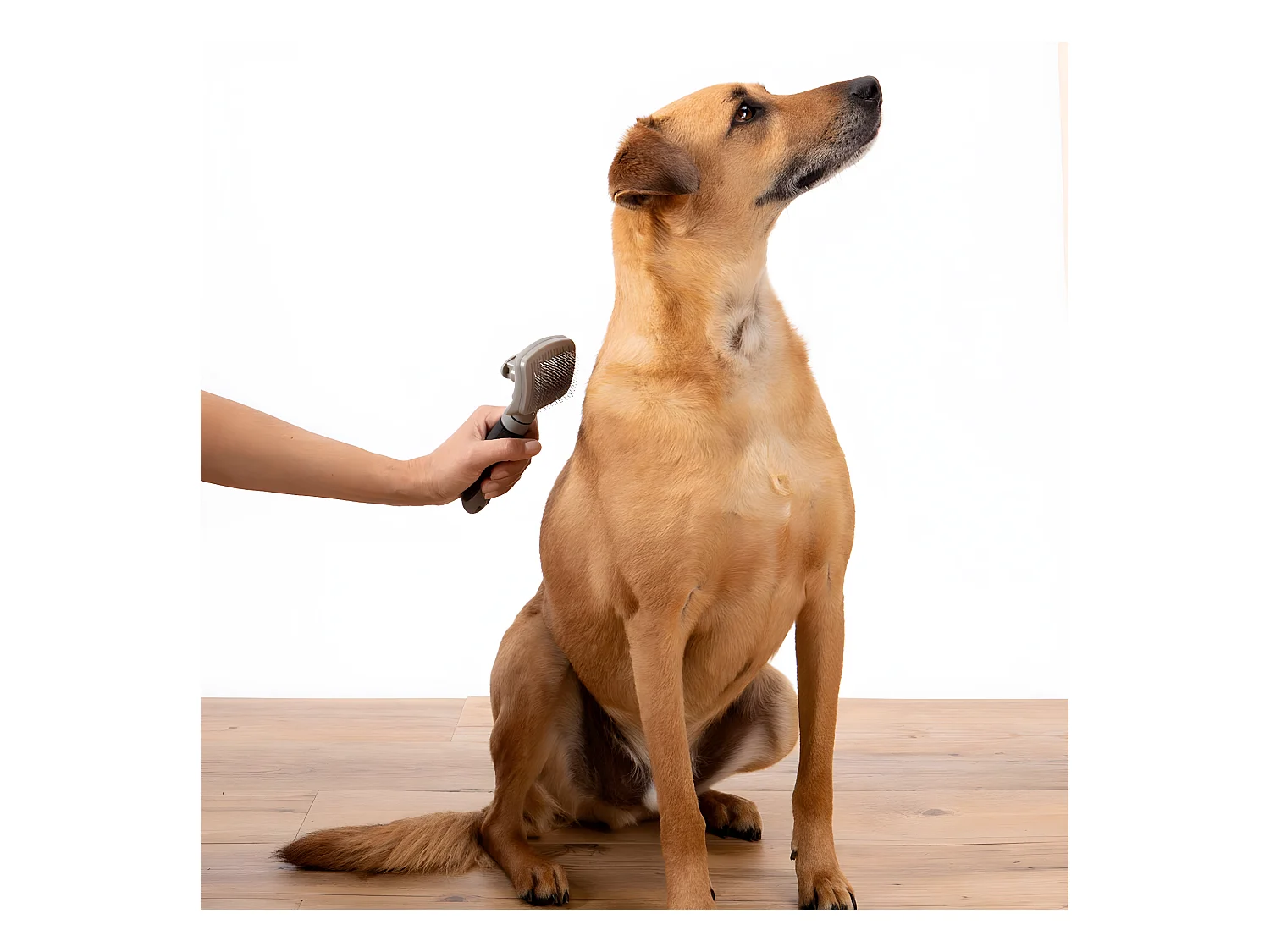 Brosse de Toilettage "Manche Ergonomique" 19cm Gris