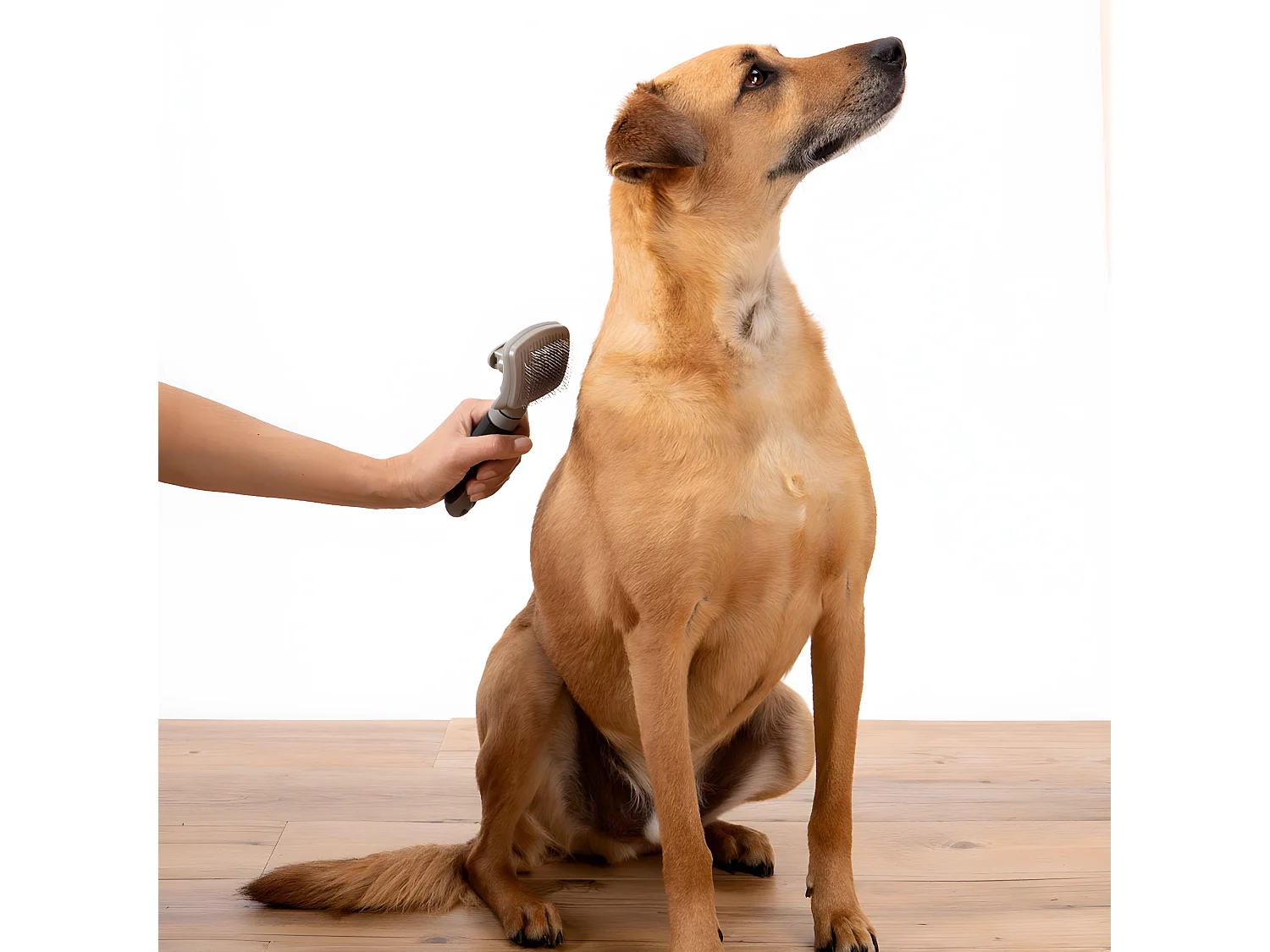 Brosse de Toilettage "Manche Ergonomique" 19cm Gris