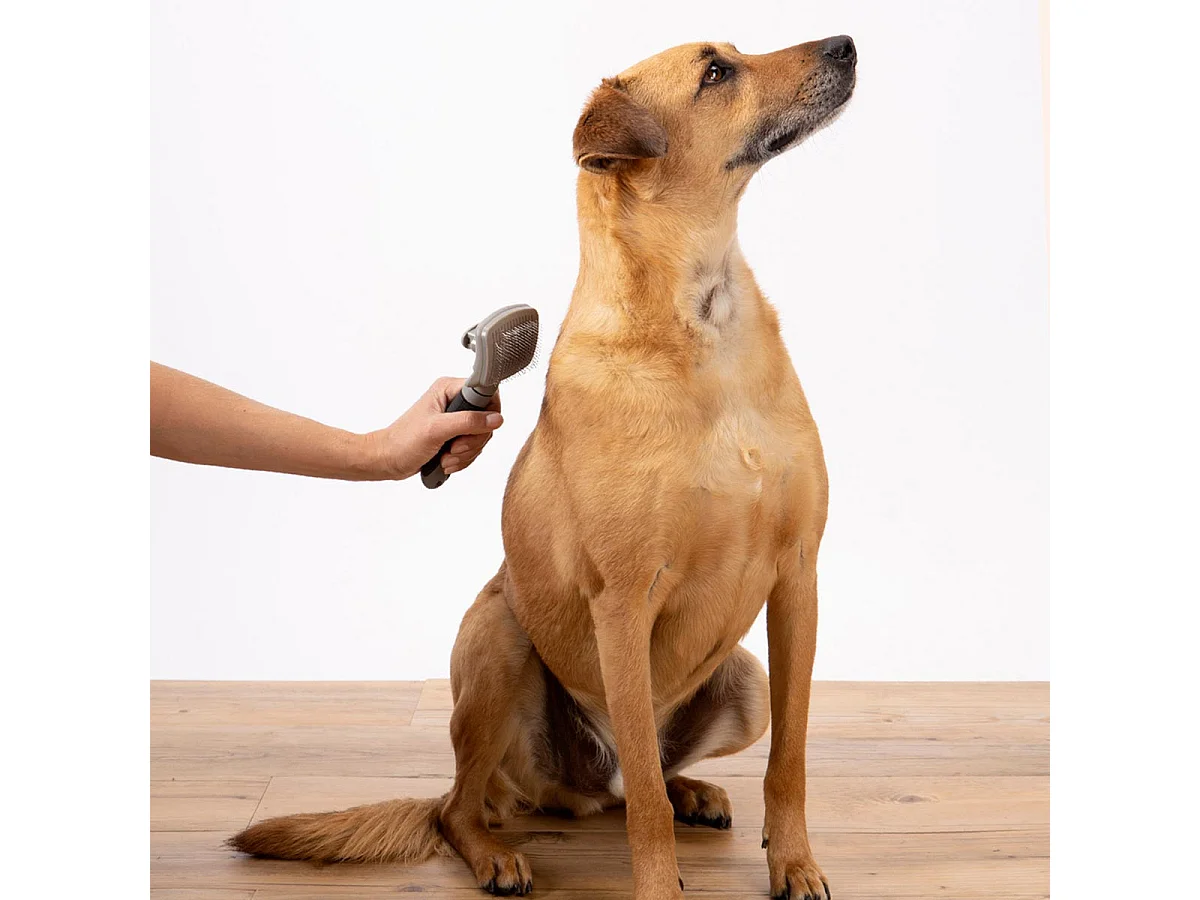 Brosse de Toilettage "Manche Ergonomique" 19cm Gris