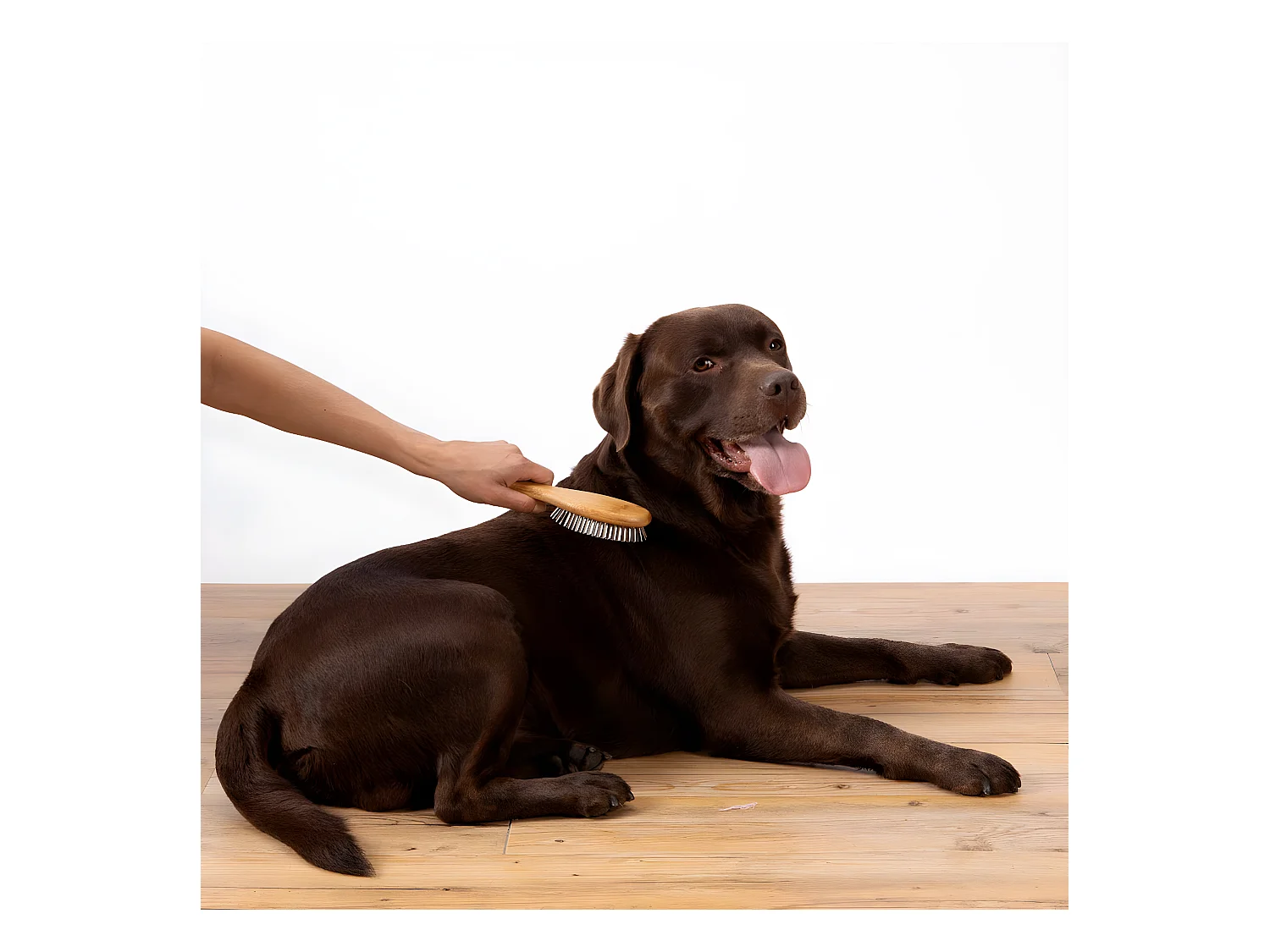 Brosse de Toilettage Bambou "Picots Perles" 22cm Naturel