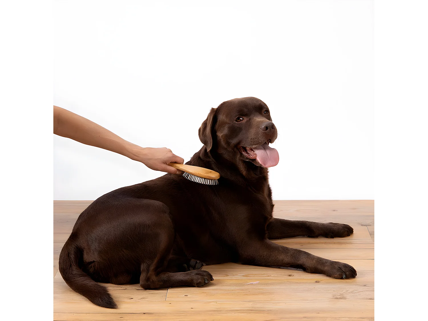 Brosse de Toilettage Bambou "Picots Perles" 22cm Naturel