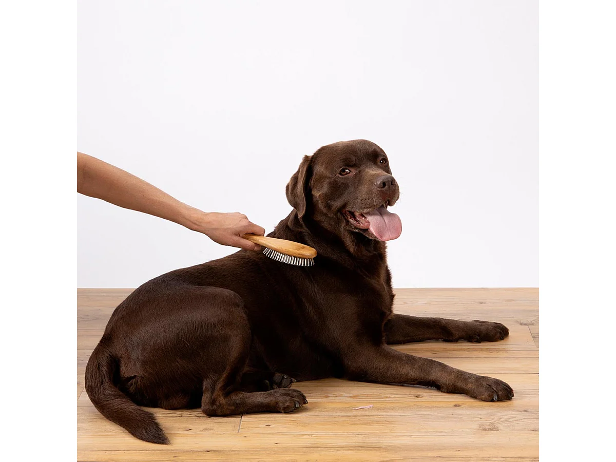 Brosse de Toilettage Bambou "Picots Perles" 22cm Naturel