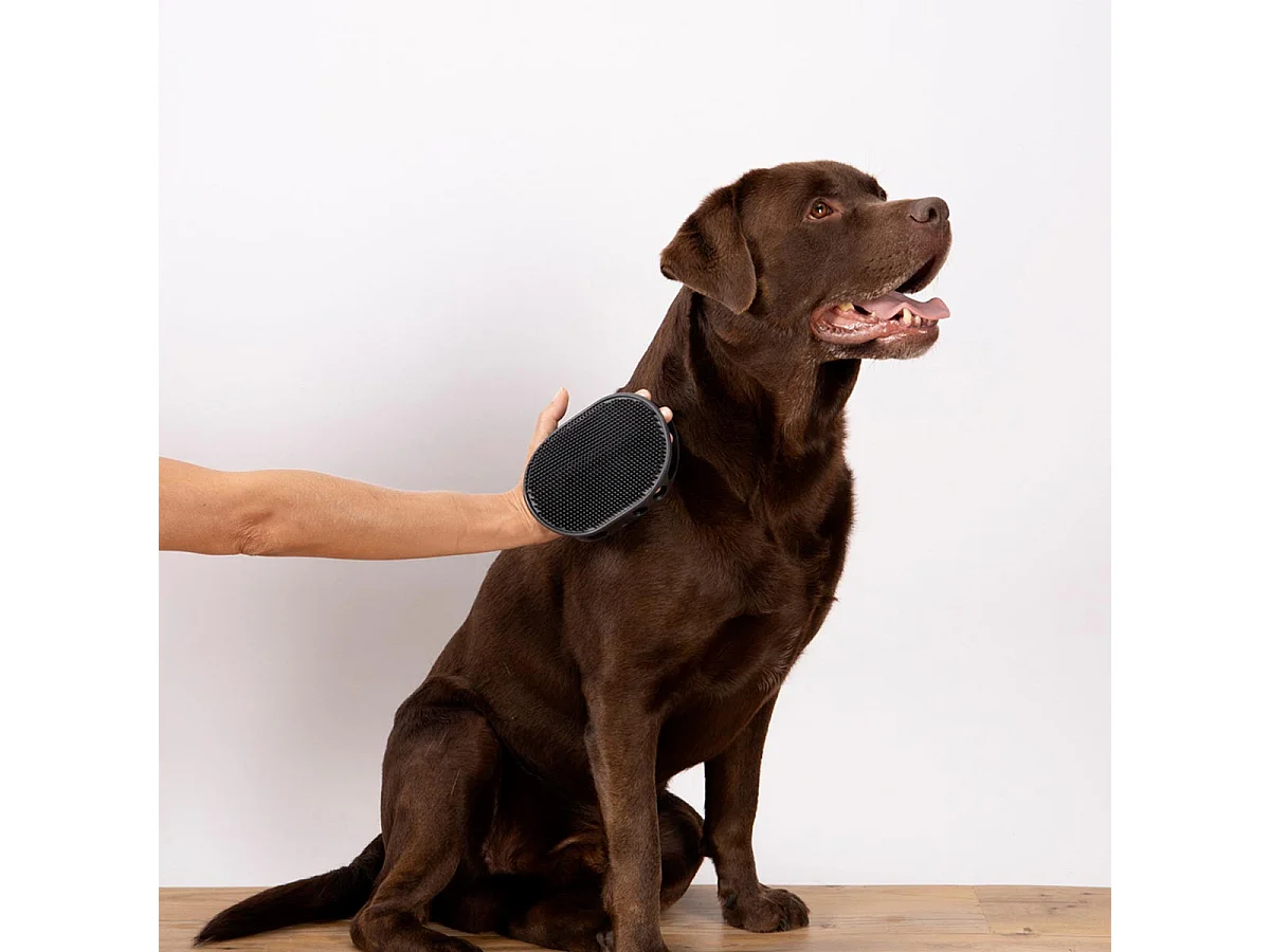 Gant de Brossage pour Chien & Chat "2 Faces" 15cm Gris