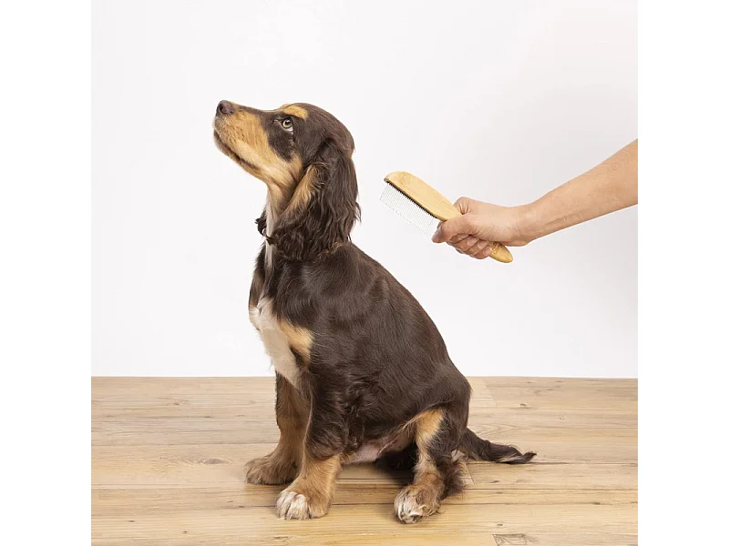 Peigne à Démêler Chien & Chat "Bambou" 21cm Naturel