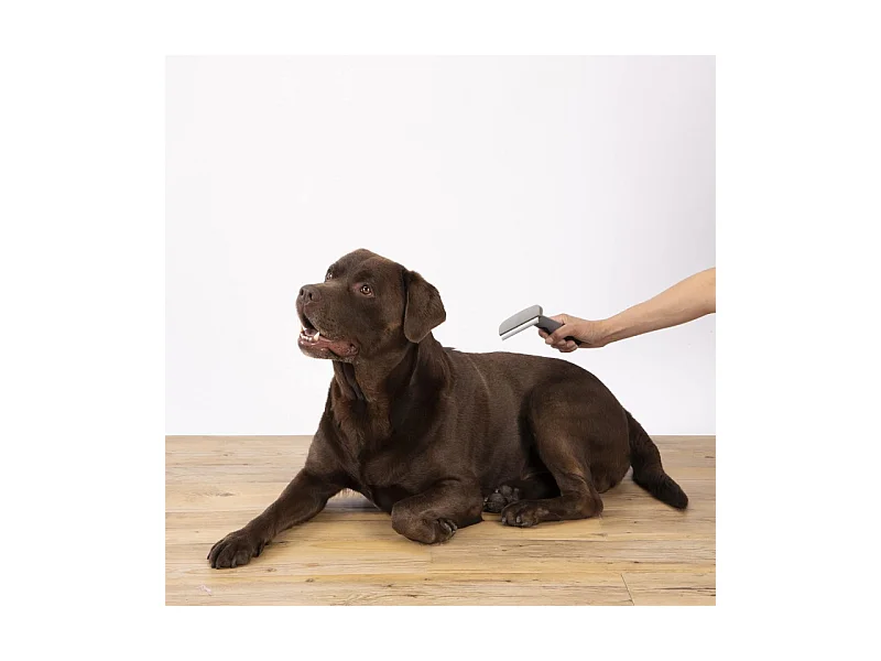 Brosse pour Chien & Chat "Sous Poils" 16cm Gris