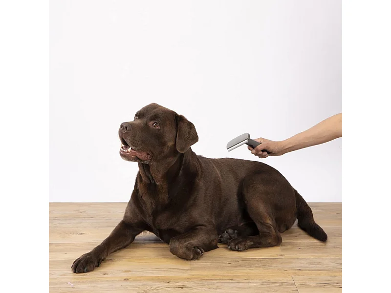 Brosse pour Chien & Chat "Sous Poils" 16cm Gris