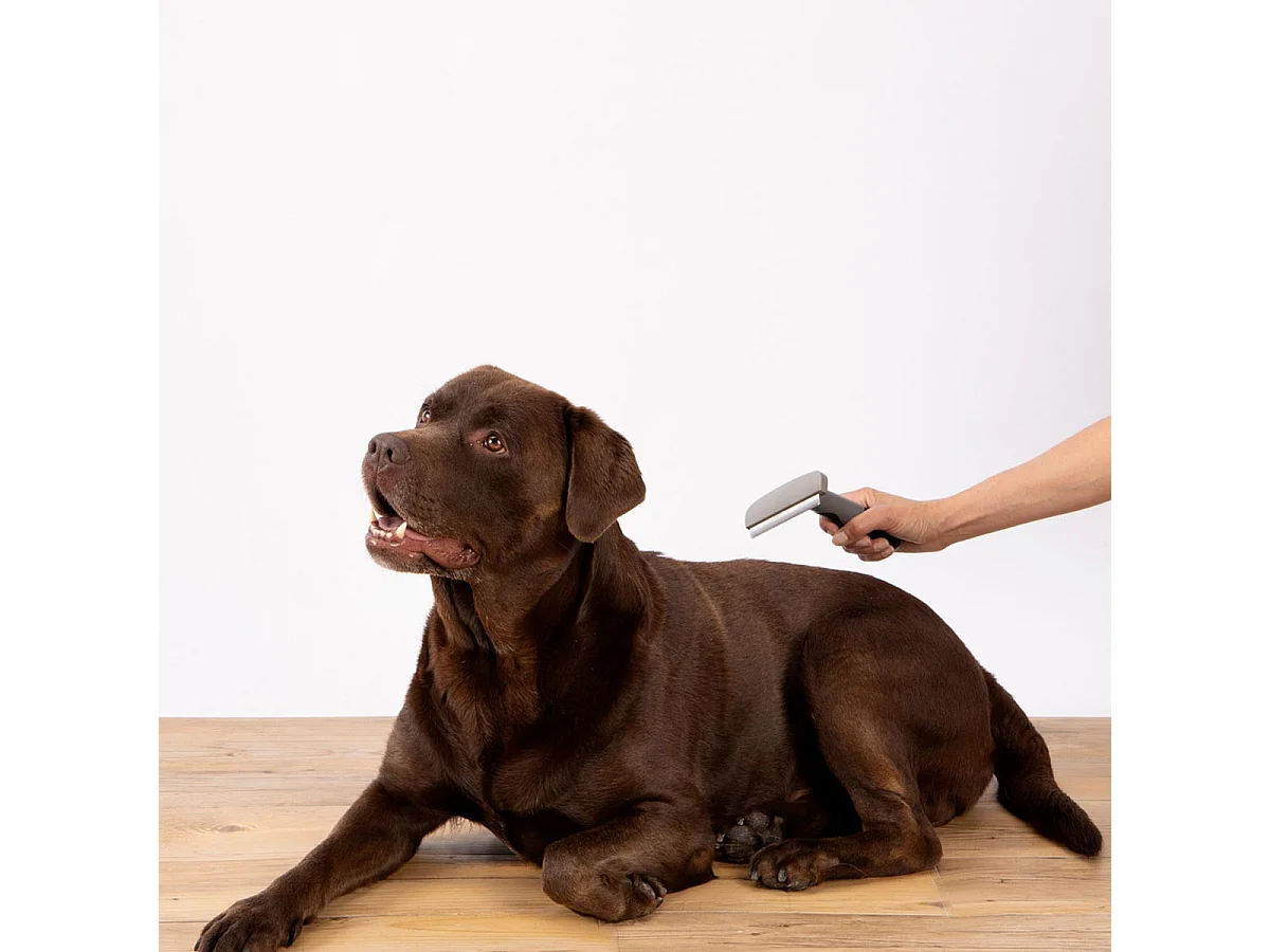 Brosse pour Chien & Chat "Sous Poils" 16cm Gris