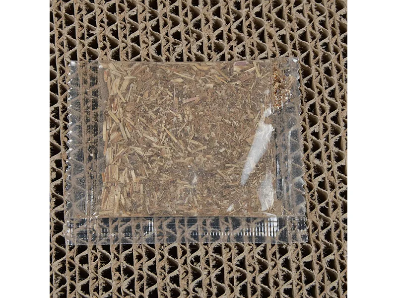 Griffoir pour Chat "Réversible" 43cm Naturel