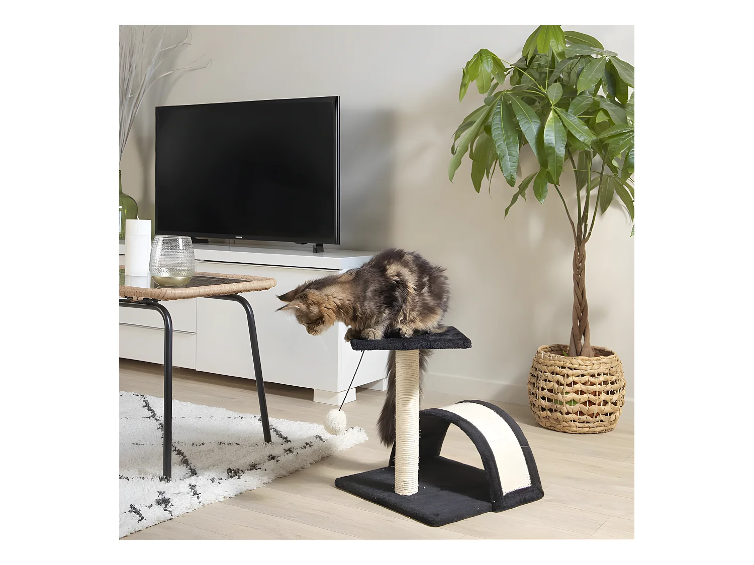 Arbre à Chat avec Tunnel "1 Plateforme" 38cm Noir