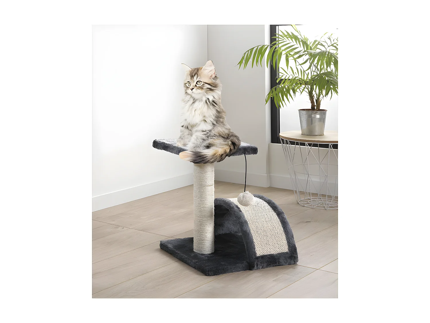 Arbre à Chat avec Tunnel "1 Plateforme" 38cm Noir