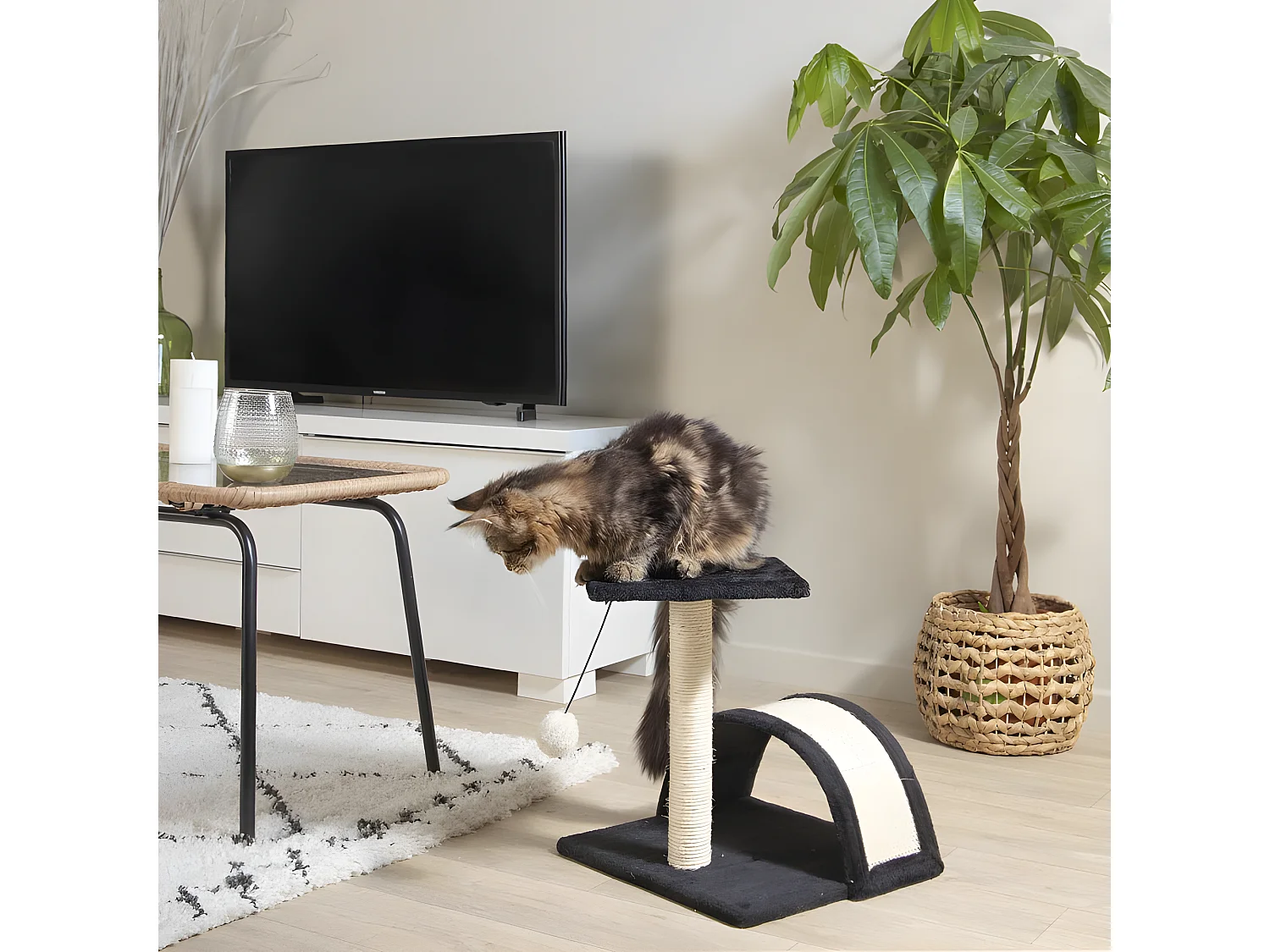 Arbre à Chat avec Tunnel "1 Plateforme" 38cm Noir