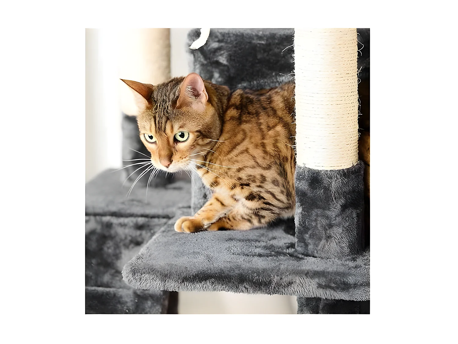 Arbre à Chat avec Jouets "4 Plateformes" 138cm Gris