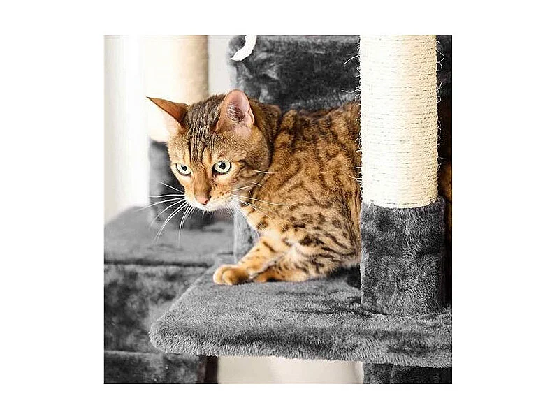 Arbre à Chat avec Jouets "4 Plateformes" 138cm Gris