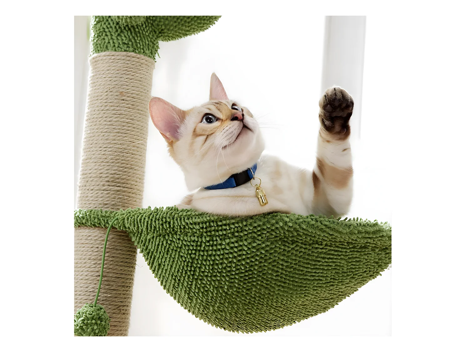 Arbre à Chat Cactus "Jouet & Hamac" 96cm Vert