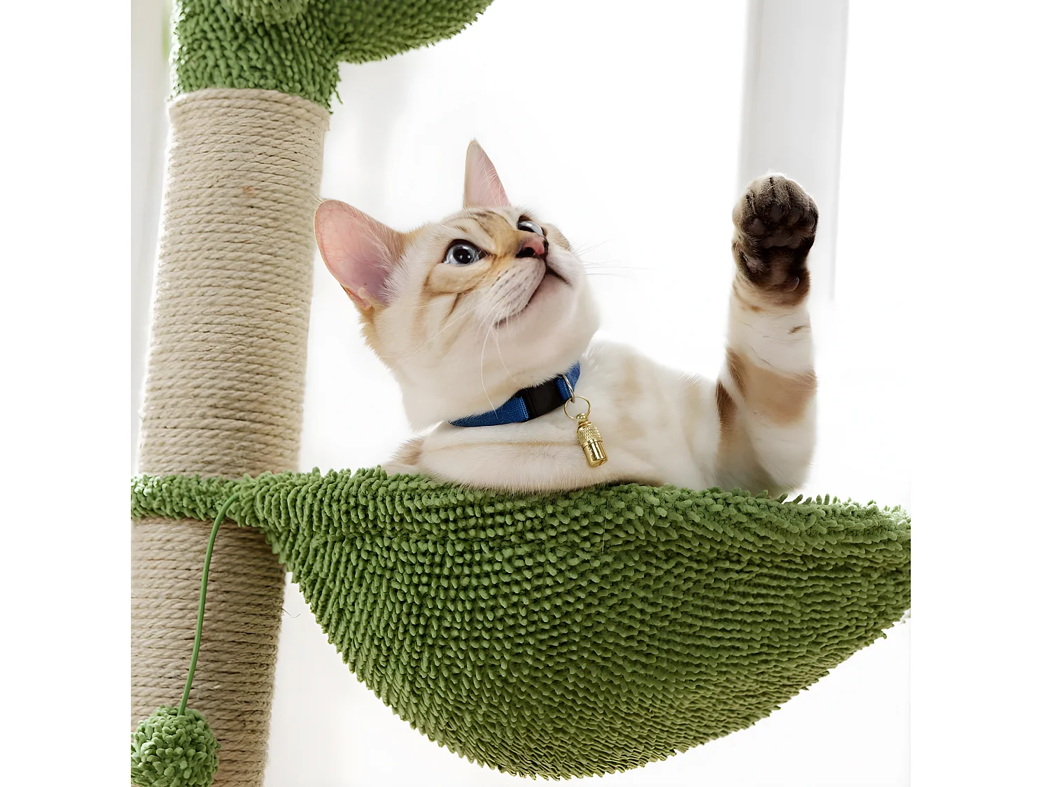 Arbre à Chat Cactus "Jouet & Hamac" 96cm Vert