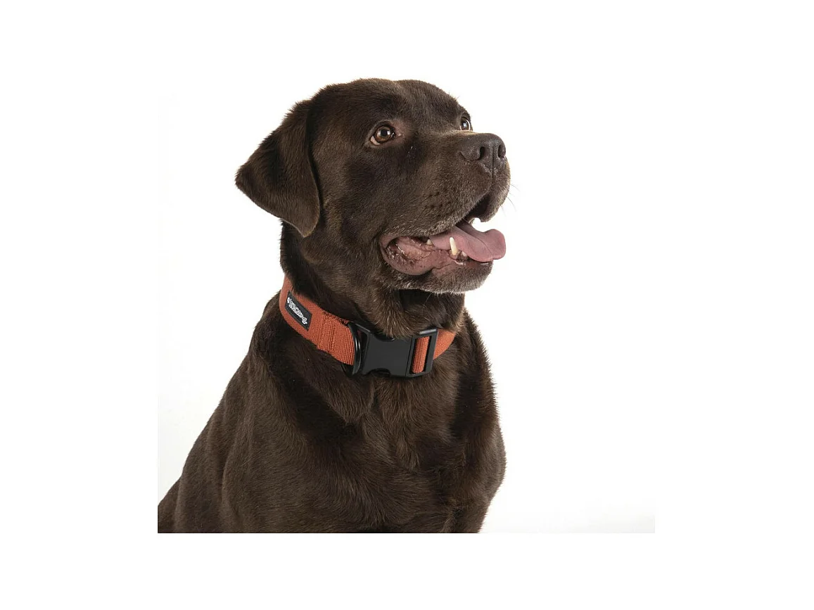 Collier pour Animaux "Réglable" 70cm Terracotta