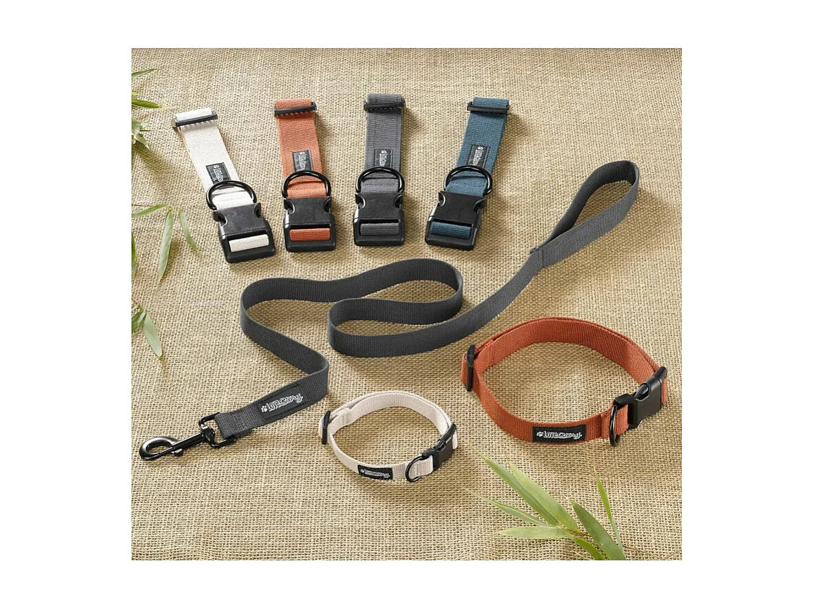 Collier pour Animaux "Réglable" 70cm Terracotta