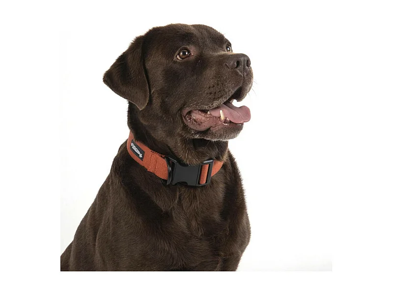 Collier pour Animaux "Réglable" 70cm Terracotta