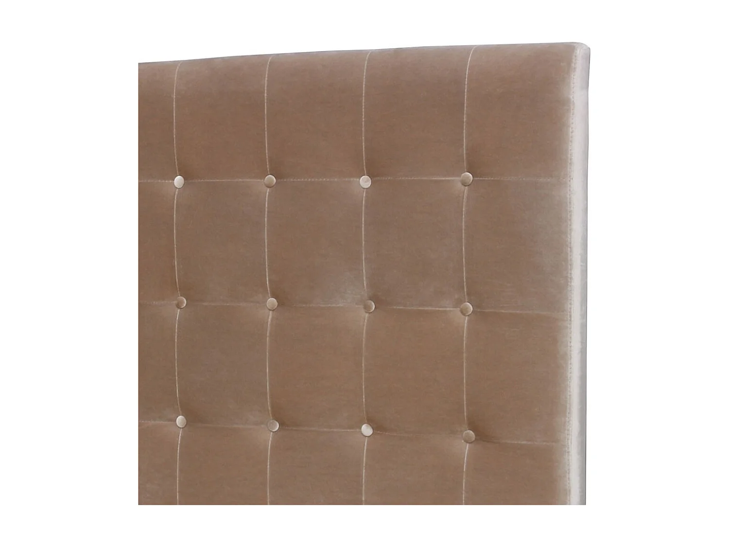 Tête de Lit Capitonnée en Velours "Amor" 160cm Taupe