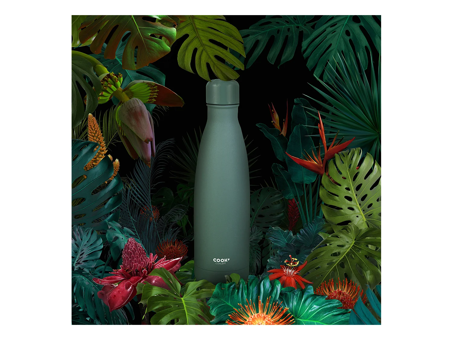 Bouteille De Transport Isotherme Verte 50cl Vert