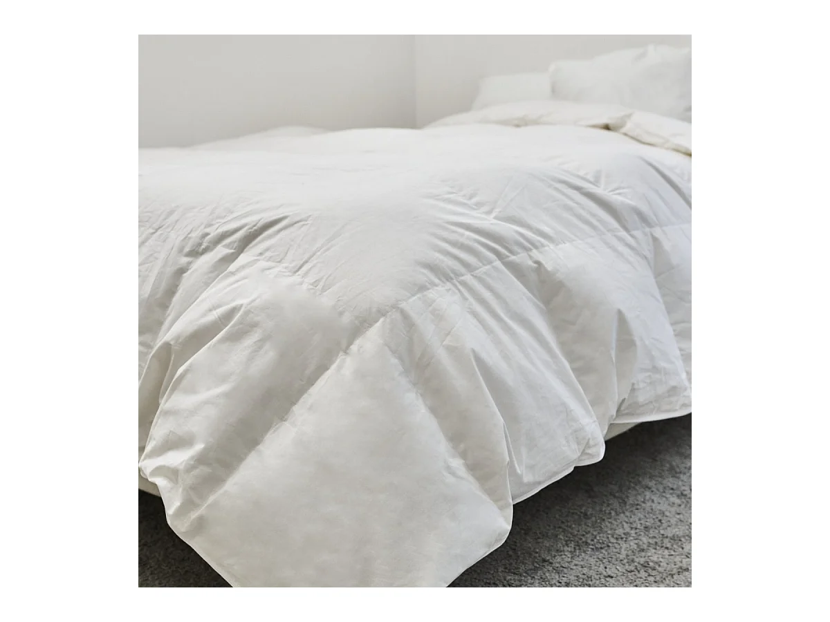 Couette Été Duvet de Canard Légère 150g/m2 - 200x200cm
