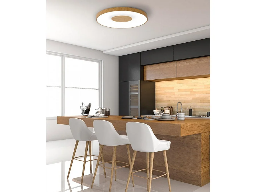 Plafondnier LED blanc avec télécommande modèle COIN MANTRA