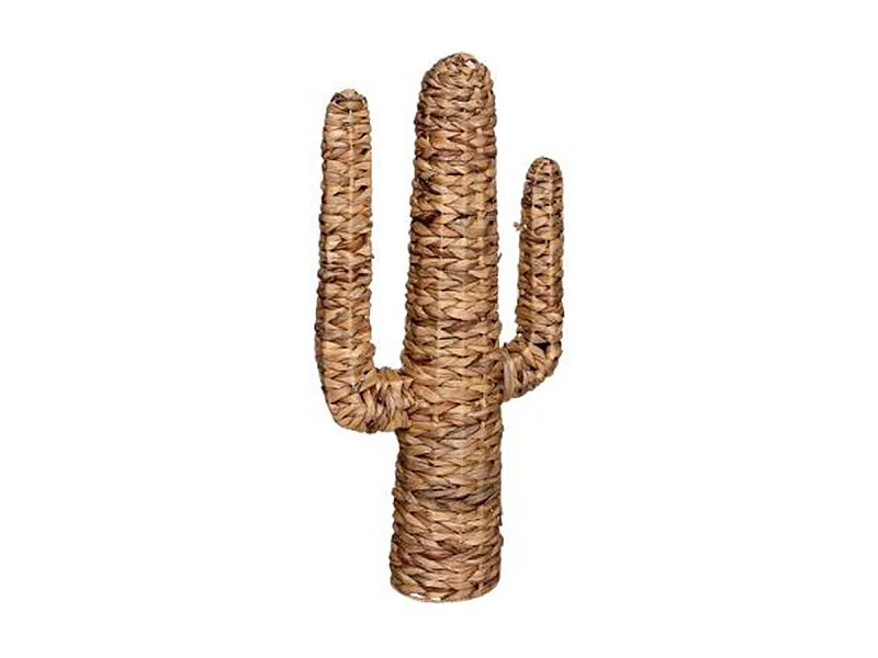 Cactus sobre soporte de caña