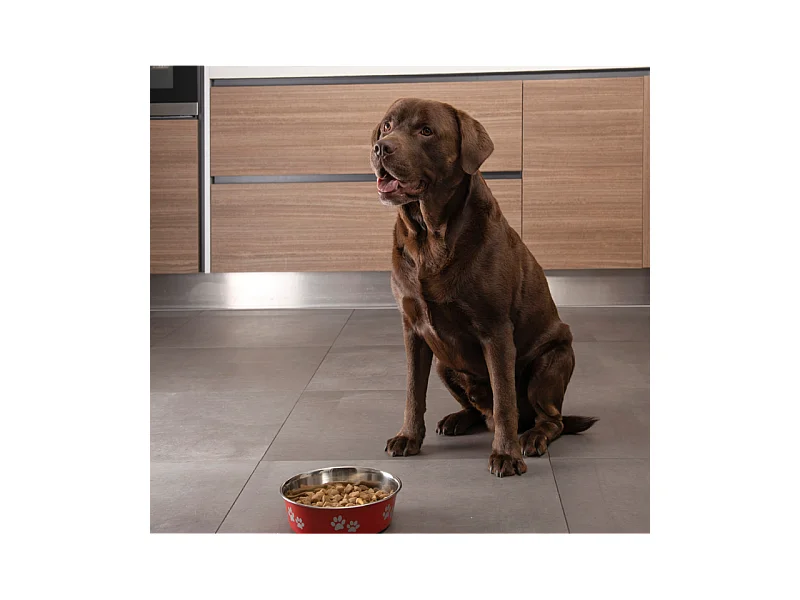 Gamelle pour Chien & Chat "Motifs Pattes" 21cm Rouge