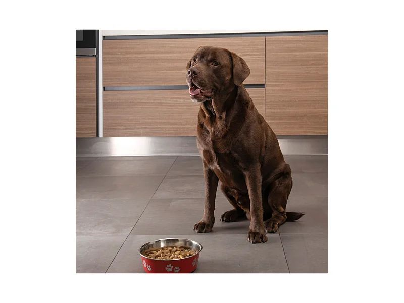 Gamelle pour Chien & Chat "Motifs Pattes" 21cm Noir